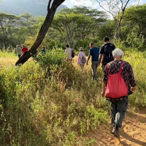 Explore breathtaking trails, immerse in nature, and discover diverse landscapes while hiking and trekking through beautiful terrains. Adventure awaits!