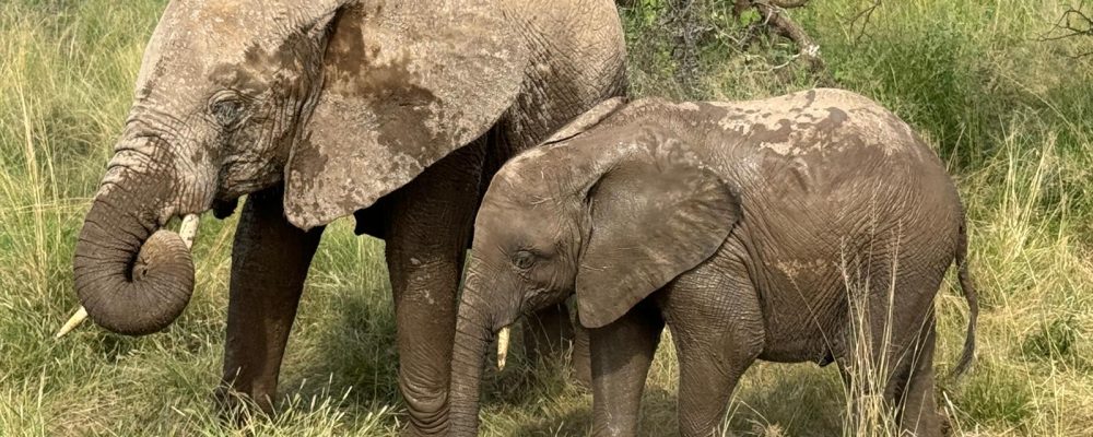 WhatsApp Image 2024-10-21 at 10.39.32 AM