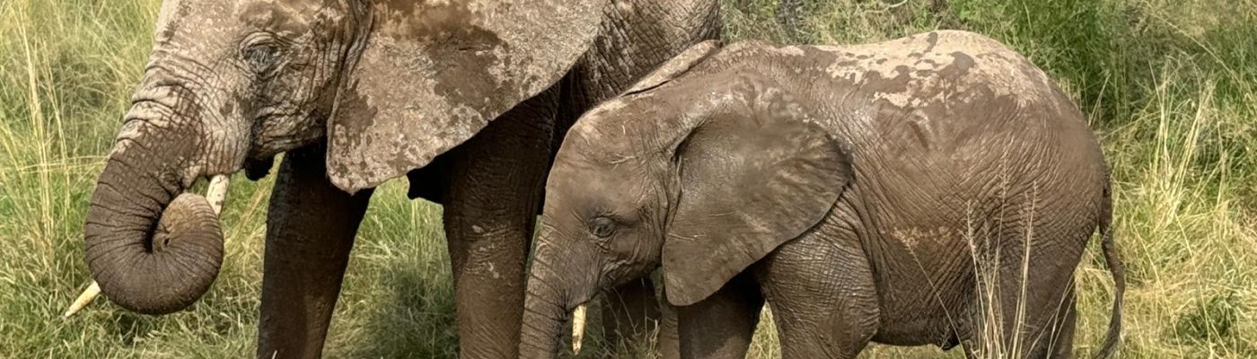 WhatsApp Image 2024-10-21 at 10.39.32 AM