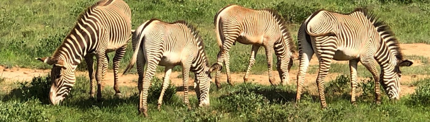 WhatsApp Image 2024-10-21 at 10.39.33 AM