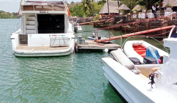 WhatsApp Image 2024-10-26 at 12.29.33 PM (1)