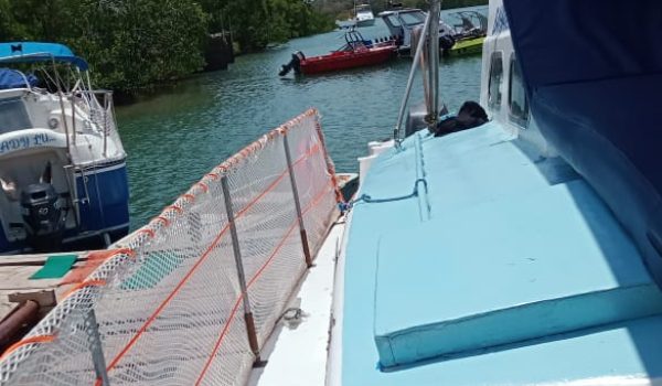 WhatsApp Image 2024-10-26 at 12.29.33 PM (2)