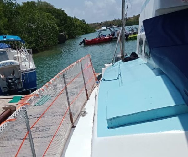 WhatsApp Image 2024-10-26 at 12.29.33 PM (2)