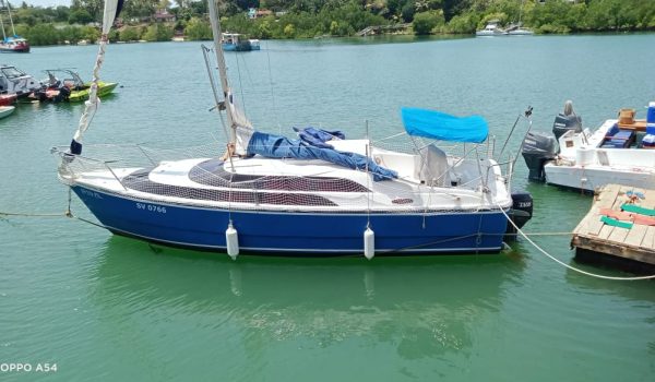 WhatsApp Image 2024-10-26 at 12.29.34 PM