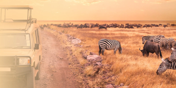 african-safari-masai-mara-jpg-scaled.webp