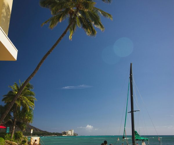 pexels-florian-eckerle-269098632-14380137