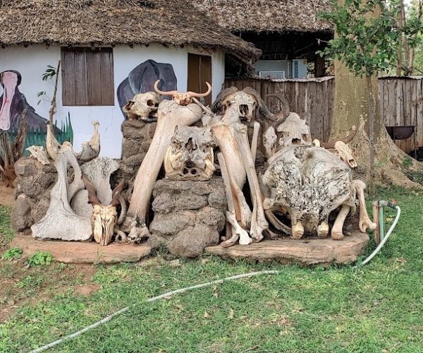 voyager ziwani.1 jpg